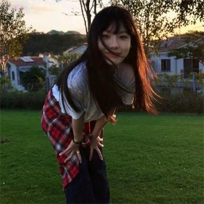 最后的雨林