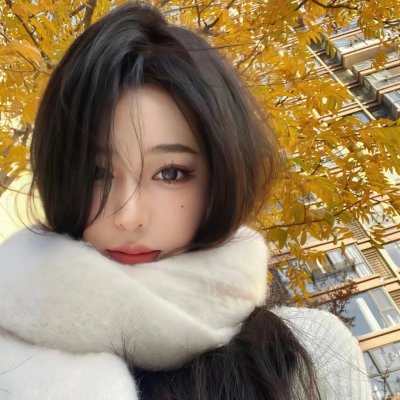 少林与忍者